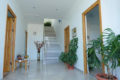 Gallery image of Armantis in Sarandë