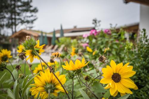 a bunch of yellow flowers in a garden at Flora - Das kleine Gartenhotel in Ellmau