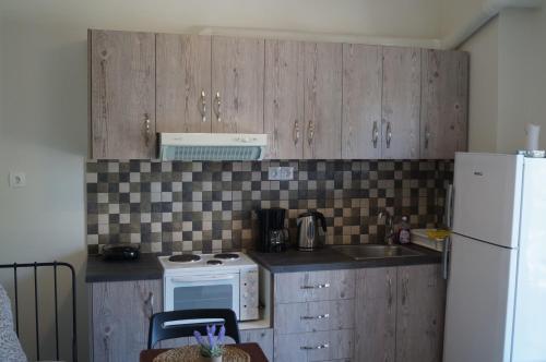 a kitchen with wooden cabinets and a white refrigerator at Sea Side Apartment in Palaiá Fókaia