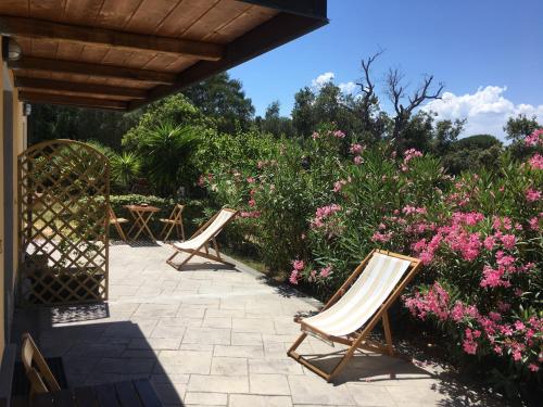 2 sedie sedute su un patio vicino ai fiori di B&B Tavolara a Puntaldia