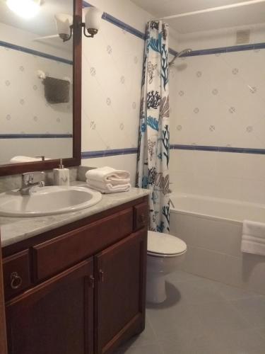 a bathroom with a sink and a toilet and a tub at Dúplex en Parque Europa in Ezcaray