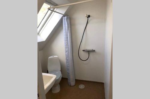 een badkamer met een douche, een toilet en een raam bij Holbæk. Byhus med fjordudsigt, og 5 min. til bymidten in Holbæk