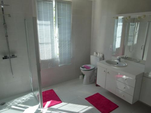 a bathroom with a shower and a toilet and a sink at Gîte en Brenne Les Chênes in Mérigny