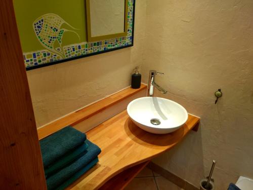 ein Badezimmer mit einem weißen Waschbecken und einem Spiegel in der Unterkunft Kastanienhof Alvern in Celle
