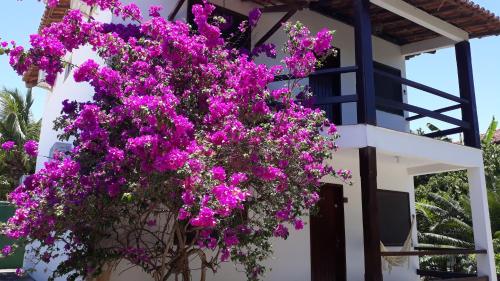 Residencial Coroa Vermelha – Photos 3