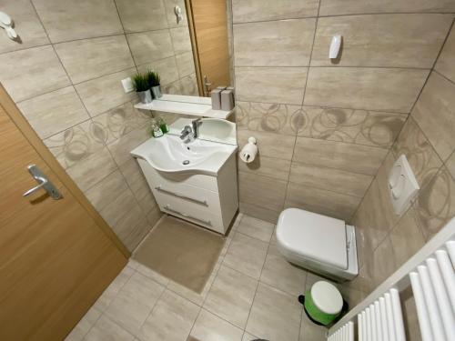 Koupelna v ubytování Apartma Vidovič