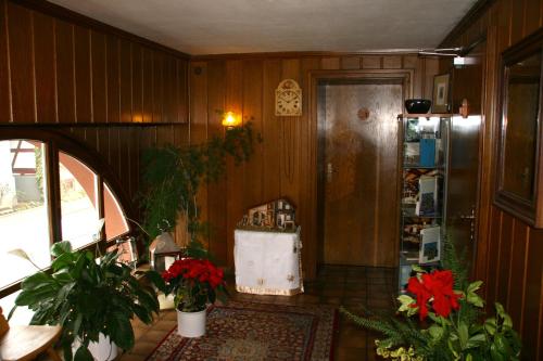 a room with wood paneled walls and a hallway with plants at Gasthaus Sonne in Vörstetten