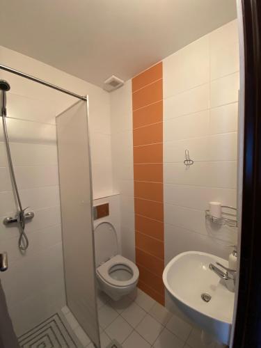 a bathroom with a toilet and a sink at Penzión Fistra in Fričkovce