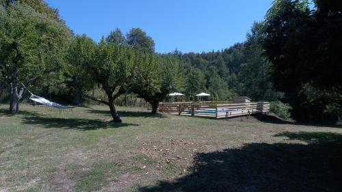 a park with a wooden fence and trees at Karkú Lodge in Pucón