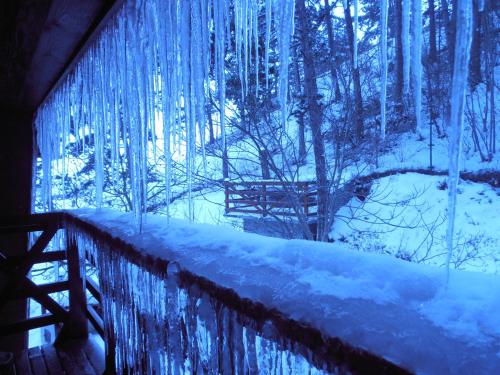 a view of a snow covered forest with icicles at Rem's Pension in Râşnov