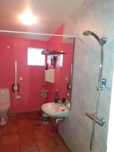 a bathroom with a sink and a shower and a toilet at Húsey Hostel & Horsefarm in Egilsstadir