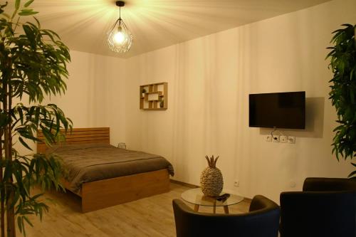 a bedroom with a bed and a tv and a table at Appartement Tropical et JACUZZI Balnéothérapie Draveil in Draveil