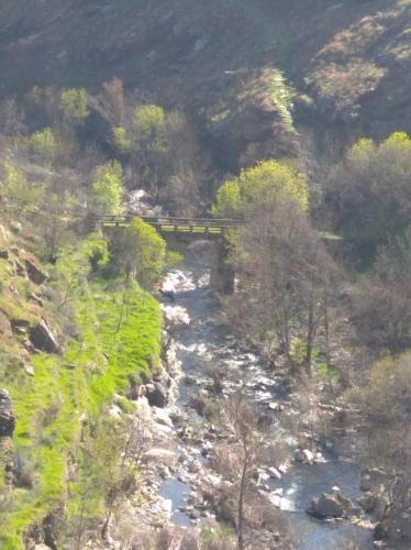 a bridge over a river on a mountain with trees at Congidouro in Freixo de Espada à Cinta