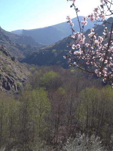 a view of a valley with trees and flowers at Congidouro in Freixo de Espada à Cinta