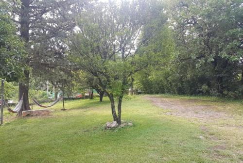 ein Baum inmitten eines Grasfeldes in der Unterkunft Hamacas Serranas in Salsipuedes