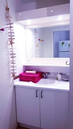 une salle de bain avec un lavabo blanc et un miroir dans l'établissement Ecrins de la Badine- pinède, à Hyères