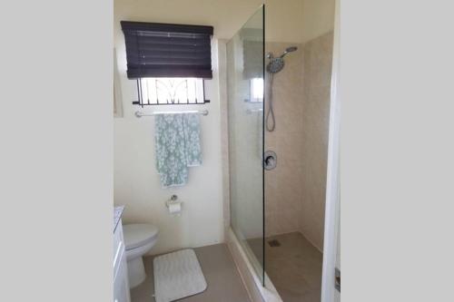 a bathroom with a shower and a toilet at Jam Vibes Villas in Mammee Bay