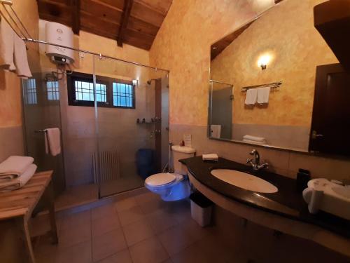 a bathroom with a sink and a shower and a toilet at Abbotsford Prasada Bhawan in Nainital