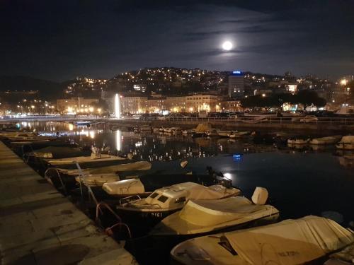 a group of boats docked in a harbor at night at Volcano Rijeka in Rijeka