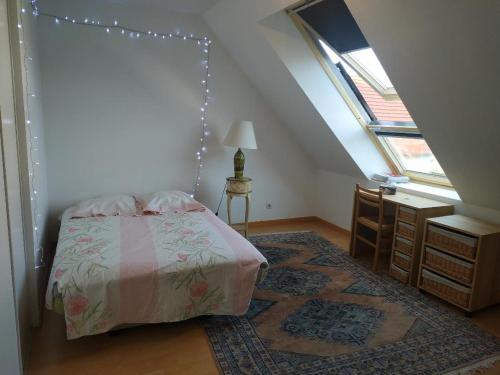 een slaapkamer met een bed, een raam en een tapijt bij CHEZ MARLYSE in Blois