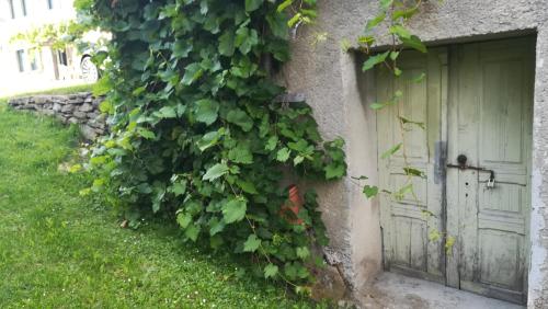 Gallery image of Barbara`s Village House in Ilirska Bistrica