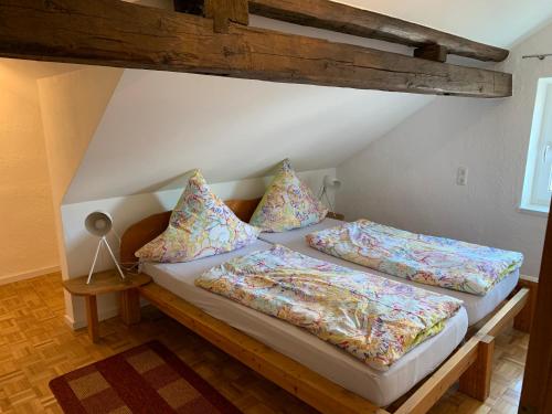 1 dormitorio con 2 camas y almohadas en Allgäuer Taucherhof, en Aitrang