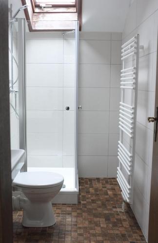 a bathroom with a toilet and a shower at Gästehaus Steiger in Bad Birnbach