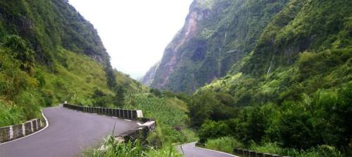 a winding road in a mountain valley with trees at Au chant du coq in Salazie