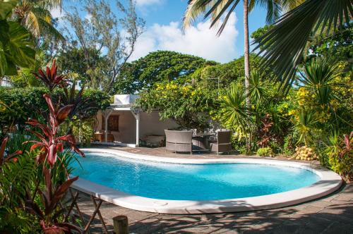 a swimming pool in a garden with palm trees at Chantauvent Guest House in Blue Bay