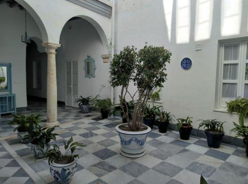 a courtyard with potted plants in a building at CASA ARCO DEL CAÑÓN - Casita con Encanto in Medina Sidonia