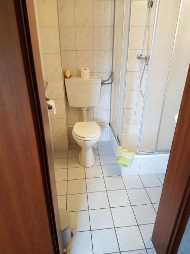 a small bathroom with a toilet and a shower at Hotel Arkona in Genthin