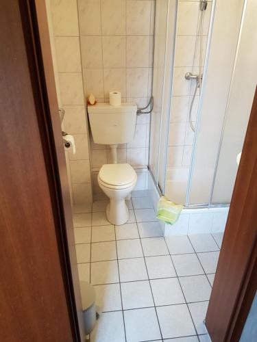 ein kleines Bad mit einem WC und einer Dusche in der Unterkunft Hotel Arkona in Genthin