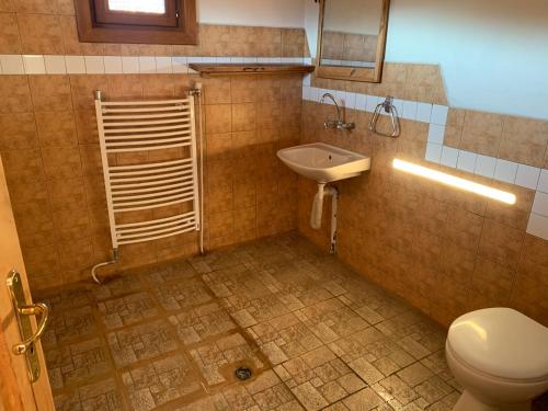 a bathroom with a toilet and a sink at Das Landhaus in Bachevo