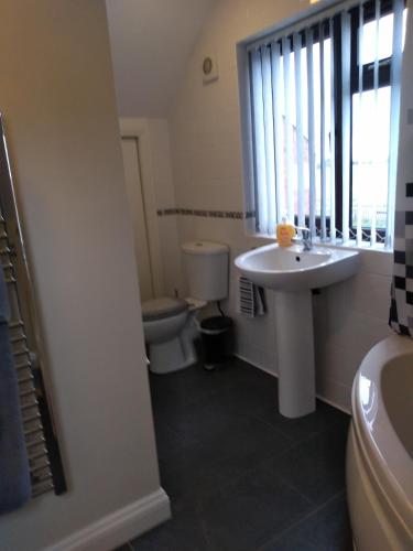 a bathroom with a sink and a toilet and a window at Ivydene Cottage in Mablethorpe