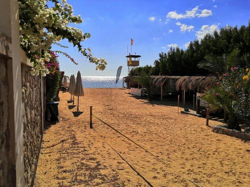a sandy beach with umbrellas and the ocean at The Wind Farm in Dahab