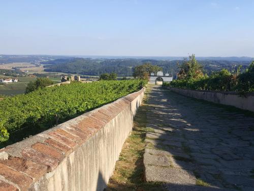 a stone wall next to a field of vines at Genius Guest Unique Banovci Apartment in Banovci