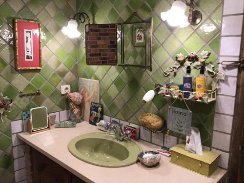 La salle de bains est pourvue d'un lavabo et d'une douche verte. dans l'établissement la VILLA B Chantilly, à Orry-la-Ville