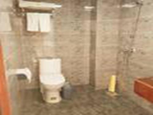 a bathroom with a white toilet and a shower at Thank Inn Chain Hotel shandong yantai zhifu district RT-Mart railway station in Yantai
