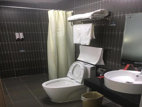 a bathroom with a toilet and a sink at Thank Inn Chain Hotel jiangsu lianyungang donghai county tuofeng town baitabu airport in Lianyungang