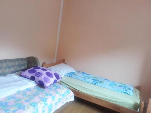 Gallery image of Guesthouse Top Hill in Guča