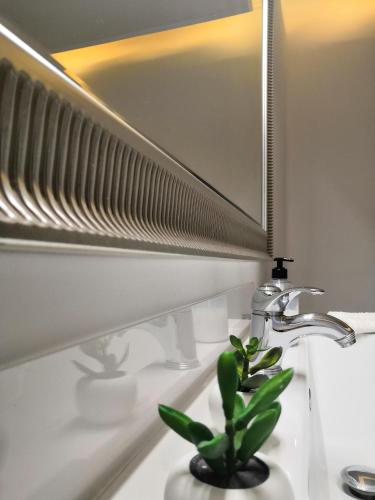a bathroom sink with a mirror and a plant at La Parada in Zaragoza