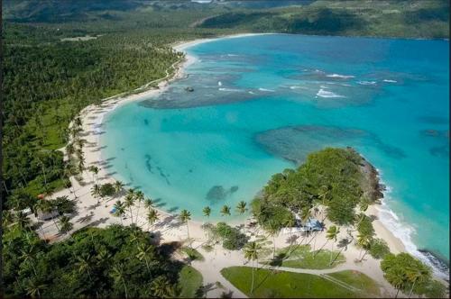 an aerial view of a beach with trees and blue water at El Pelicano Apart-Hotel in Las Galeras