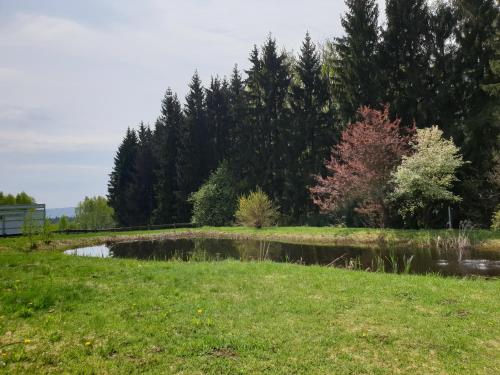 a pond in a field with trees in the background at Berghotel Drei Brüder Höhe in Marienberg