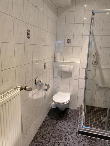 a bathroom with a toilet and a shower at Ferienhof Kröger in Bielefeld