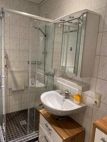 a bathroom with a sink and a glass shower at Ferienhof Kröger in Bielefeld