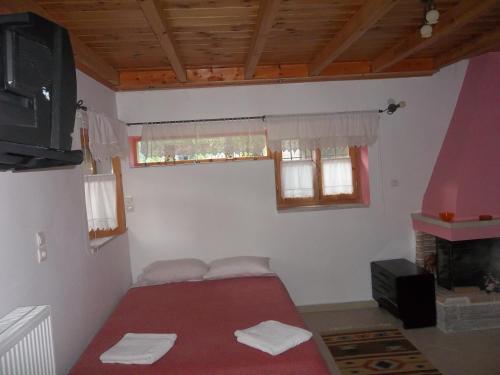a room with a bed with a tv and a fireplace at Lakis Rooms in Papigko