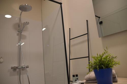 a shower with a glass door next to a potted plant at B&B Tantine in Retie