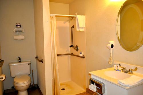 a bathroom with a toilet and a sink and a mirror at Andrews Motor Inn in Andrews