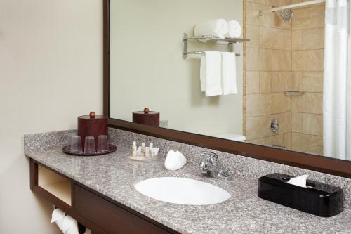 Fotografie z fotogalerie ubytování Holiday Inn Chicago Matteson Conference Center by IHG v destinaci Matteson
