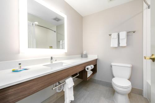 a bathroom with a sink and a toilet and a mirror at Holiday Inn Express Hotel & Suites Lagrange I-85, an IHG Hotel in La Grange